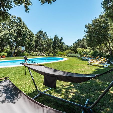 Villa Can Llamas Pollença Dış mekan fotoğraf